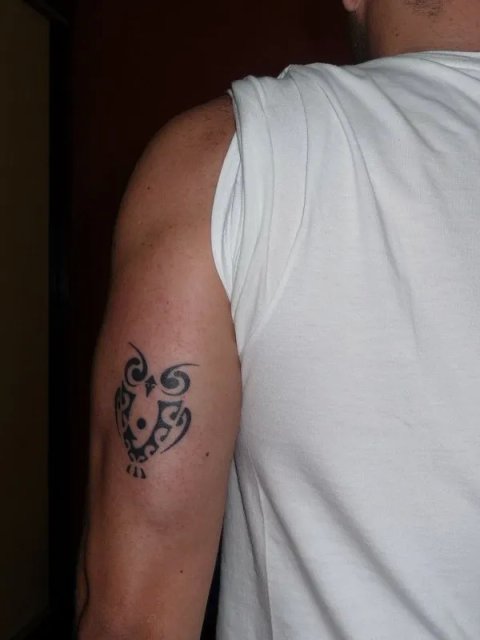 Patrick - Ruru: real inked placement tattoo photo thumbnail