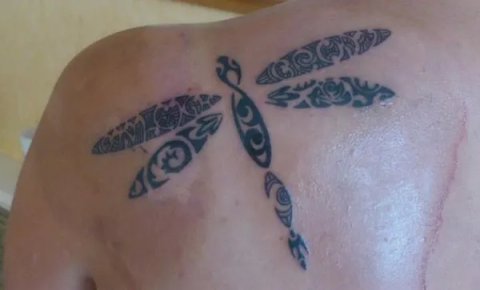 Robbie - Dragonfly: real inked placement tattoo photo thumbnail