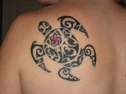 Vanessa - Balboa turtle: real inked placement tattoo photo thumbnail