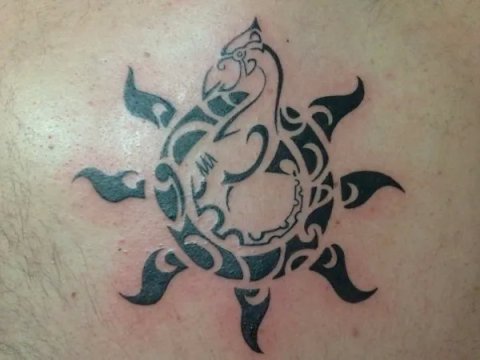Gianluca - Sun Manaia: real inked placement tattoo photo thumbnail