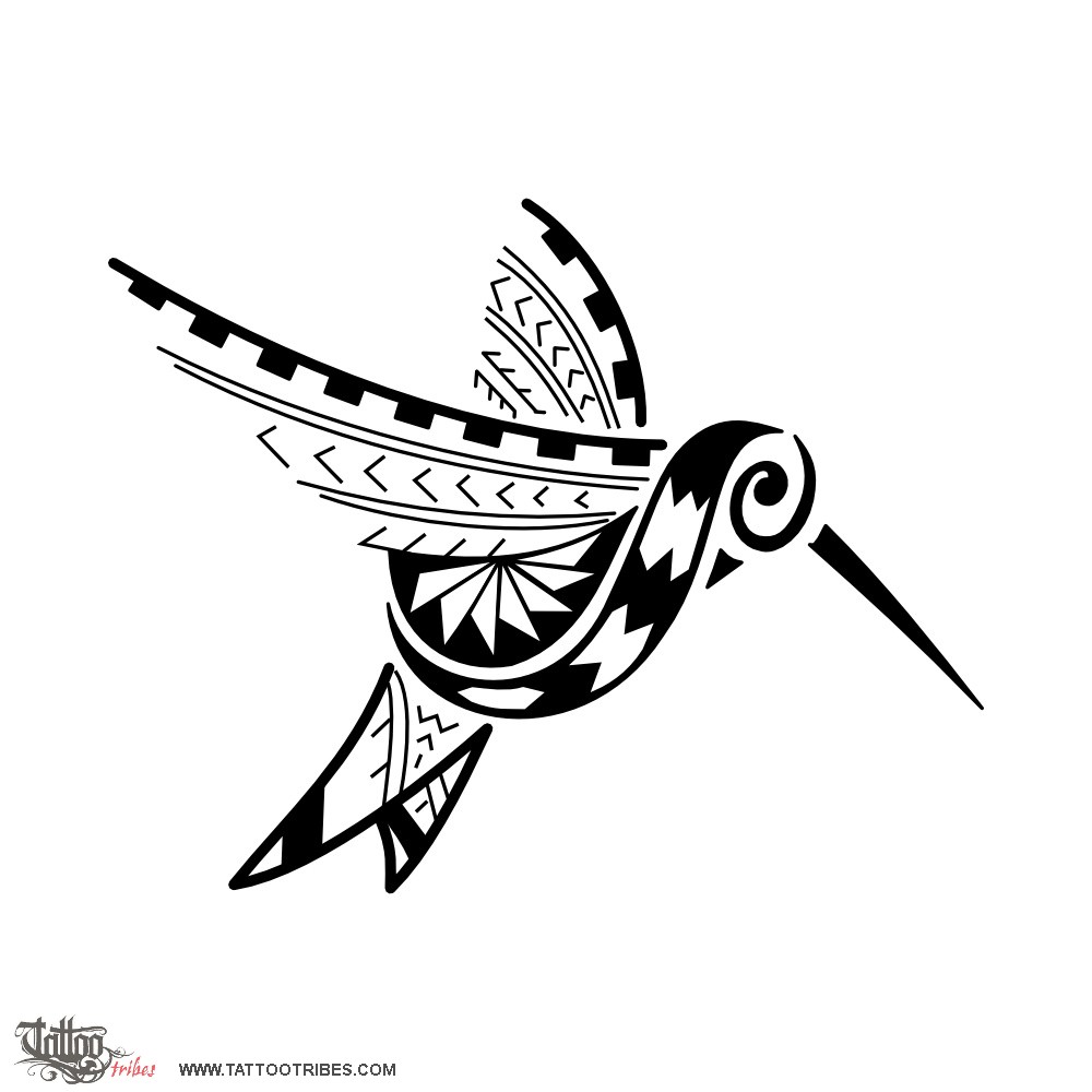 How To Draw Hummingbird Tribal Tattoo Design  YouTube