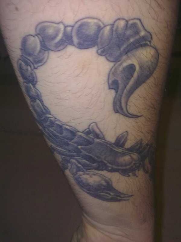 Scorpion Tattoo Meaning - Tattoos With Meaning